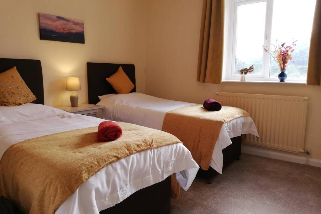Lane Foot Family Winter Deals Nov To March On 3 Nts Or *